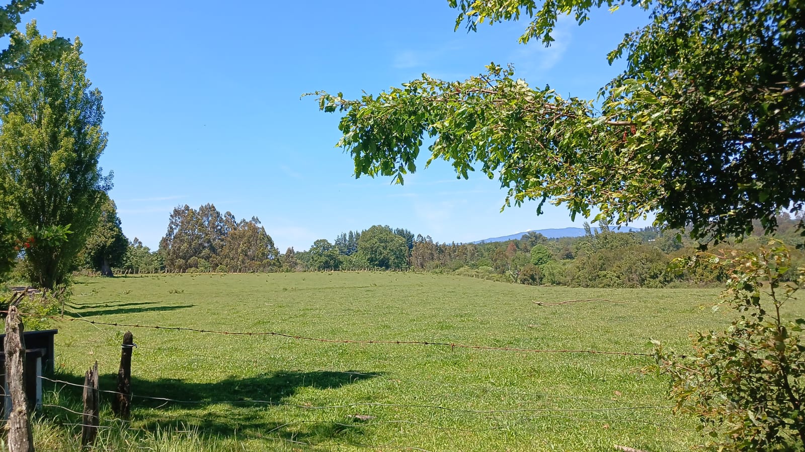 Parcela de 3 Hectáreas en Teodoro Schmidt – Región de La Araucanía