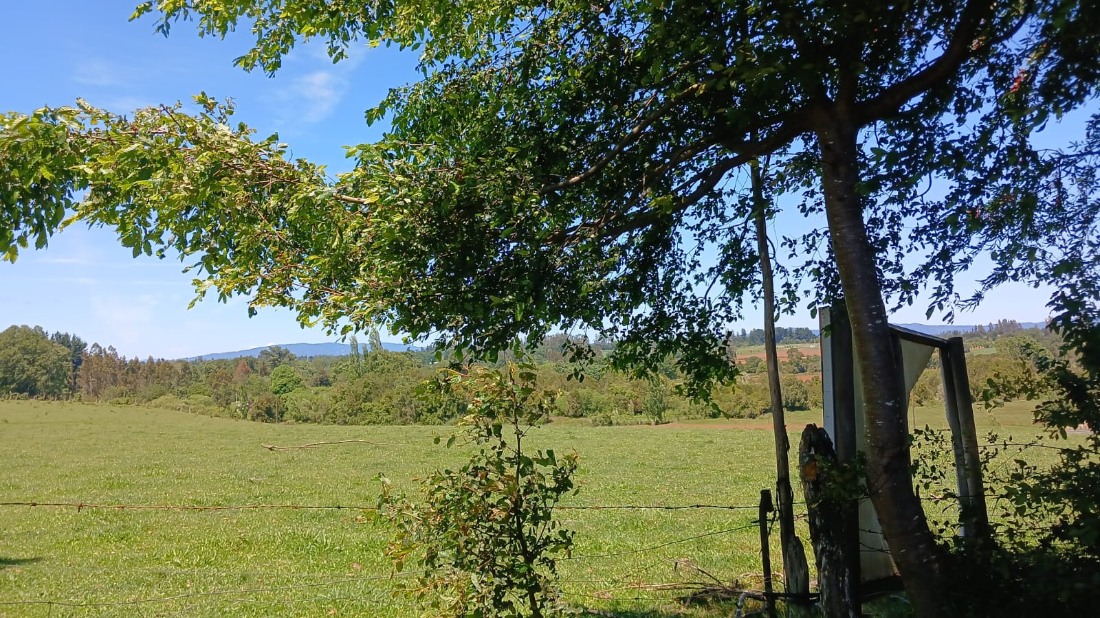 Parcela de 3 Hectáreas en Teodoro Schmidt – Región de La Araucanía