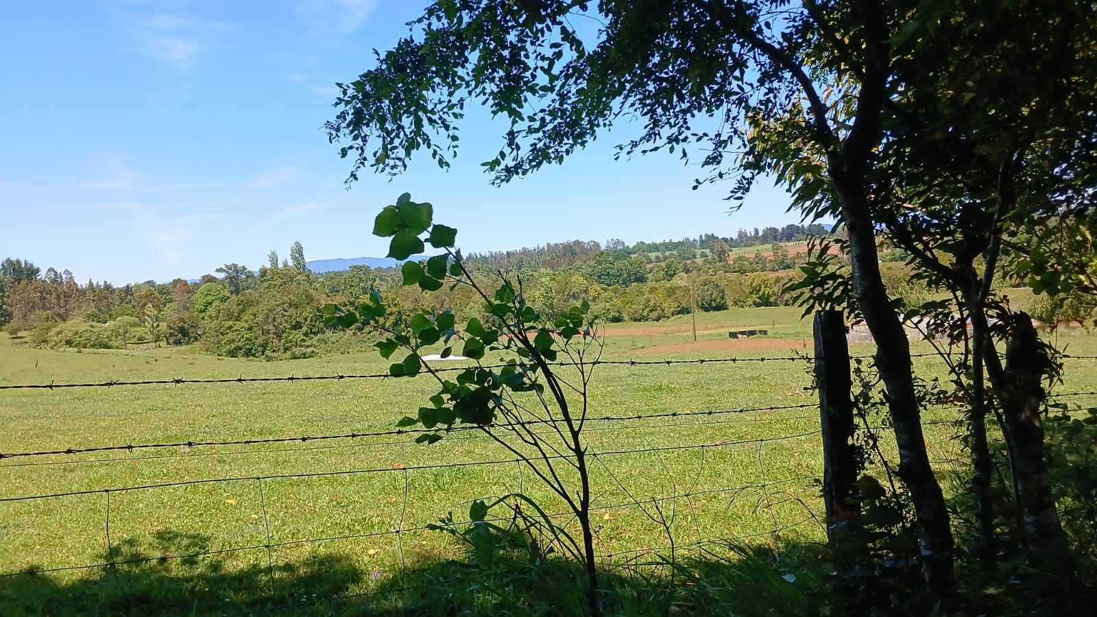 Parcela de 3 Hectáreas en Teodoro Schmidt – Región de La Araucanía