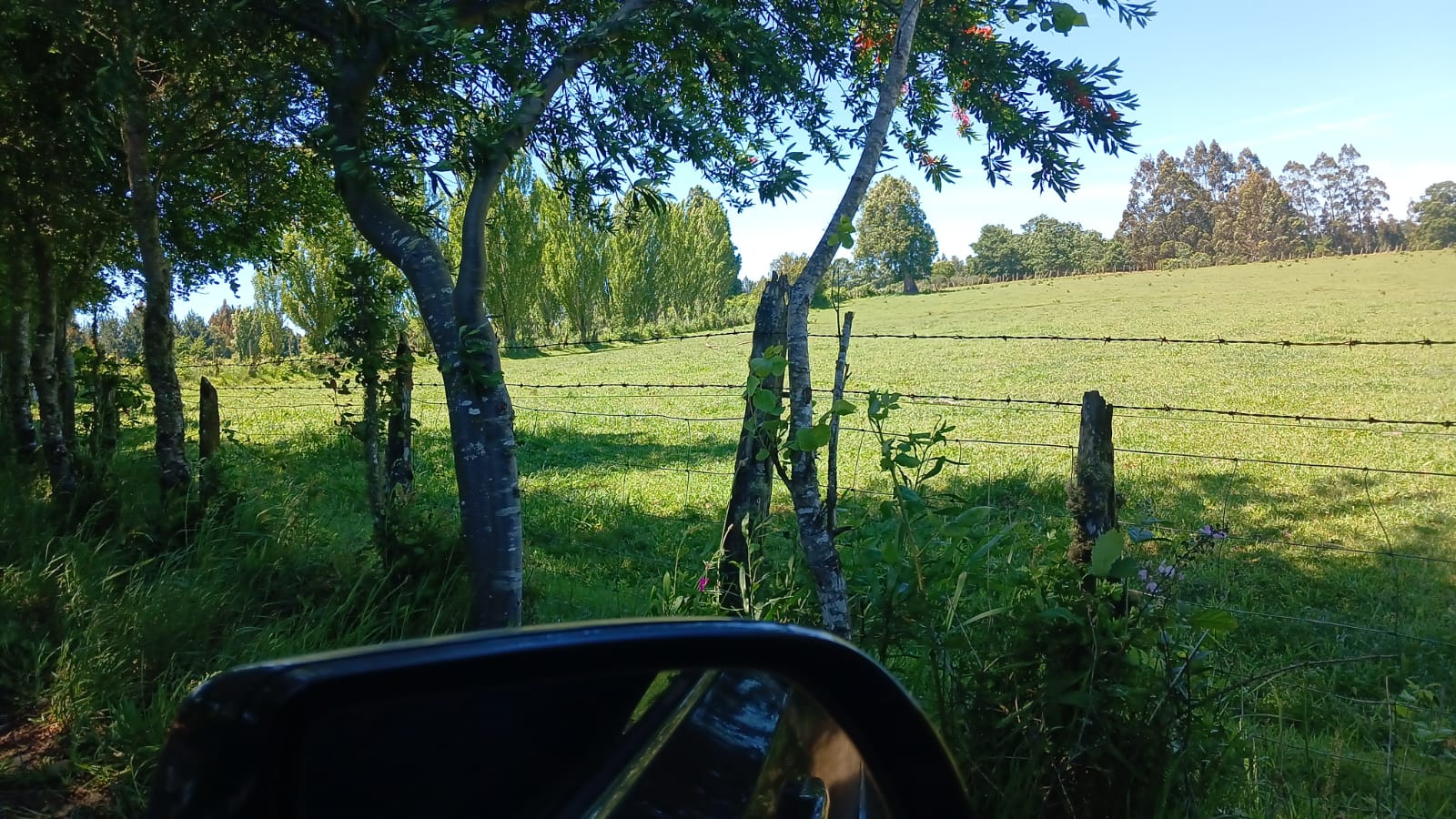 Parcela de 3 Hectáreas en Teodoro Schmidt – Región de La Araucanía