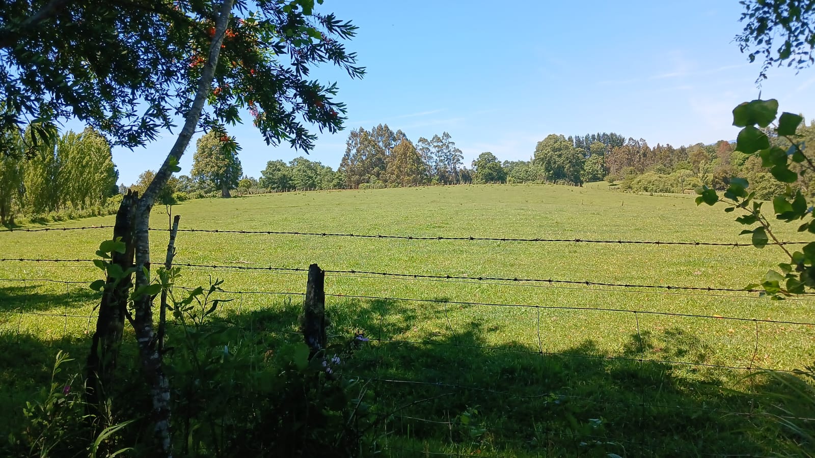 Parcela de 3 Hectáreas en Teodoro Schmidt – Región de La Araucanía