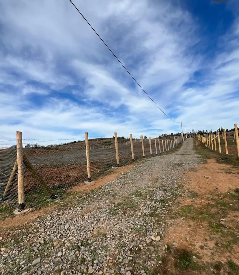 Parcelas de 5.000 m² en Florida – Región del Biobío