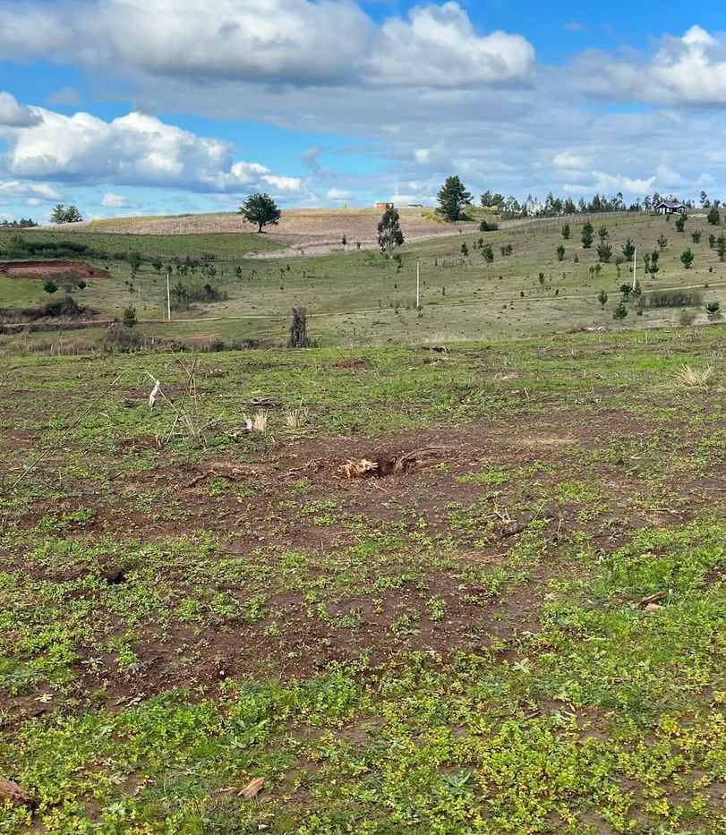 Parcelas de 5.000 m² en Florida – Región del Biobío