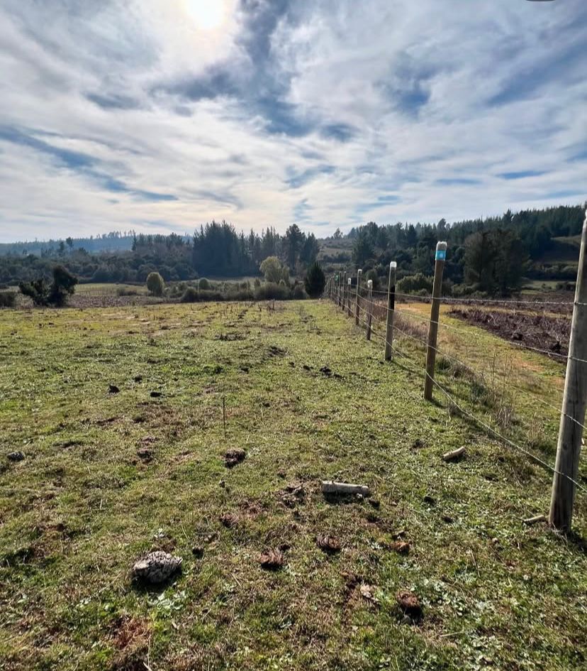 Parcelas de 5.000 m² en Florida – Región del Biobío