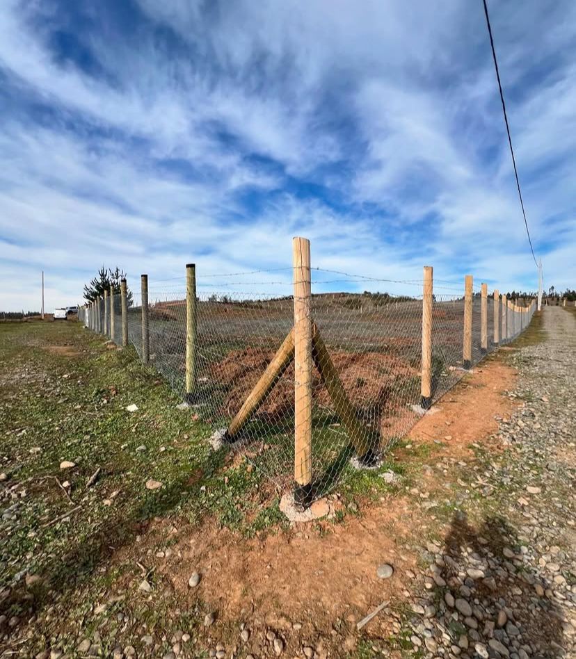 Parcelas de 5.000 m² en Florida – Región del Biobío