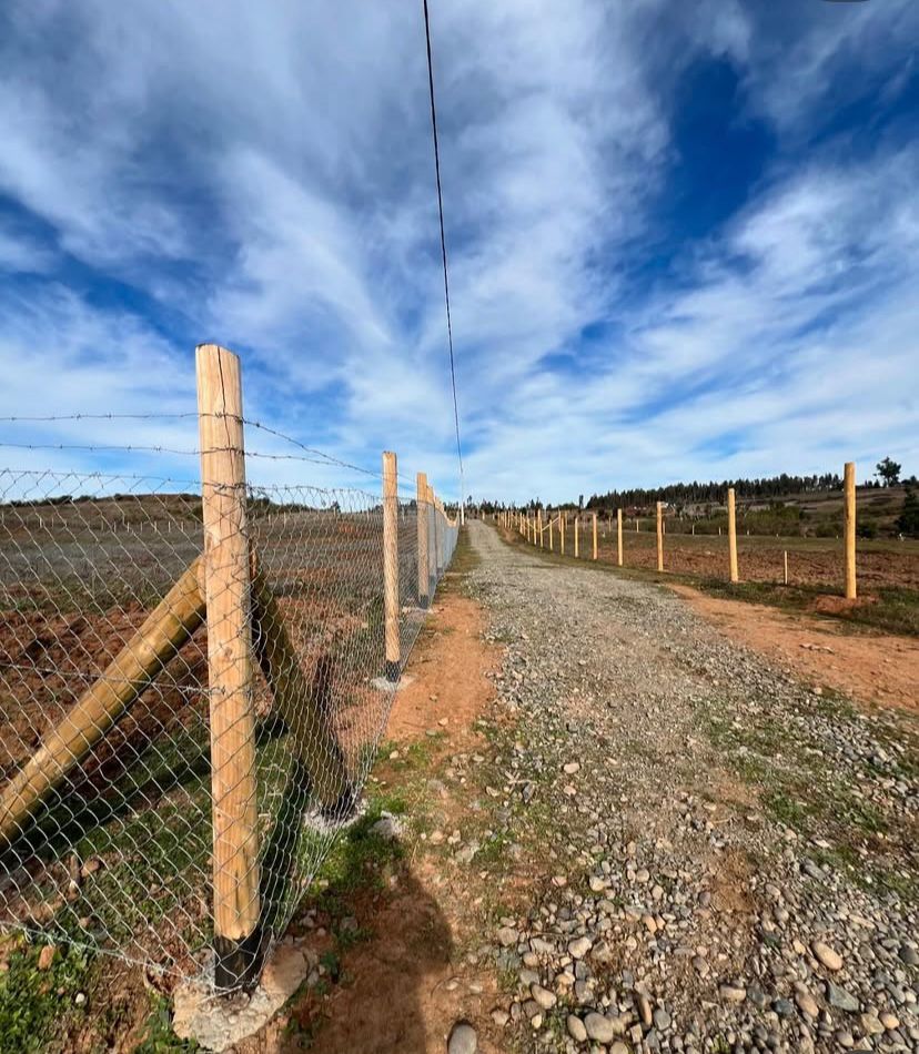 Parcelas de 5.000 m² en Florida – Región del Biobío