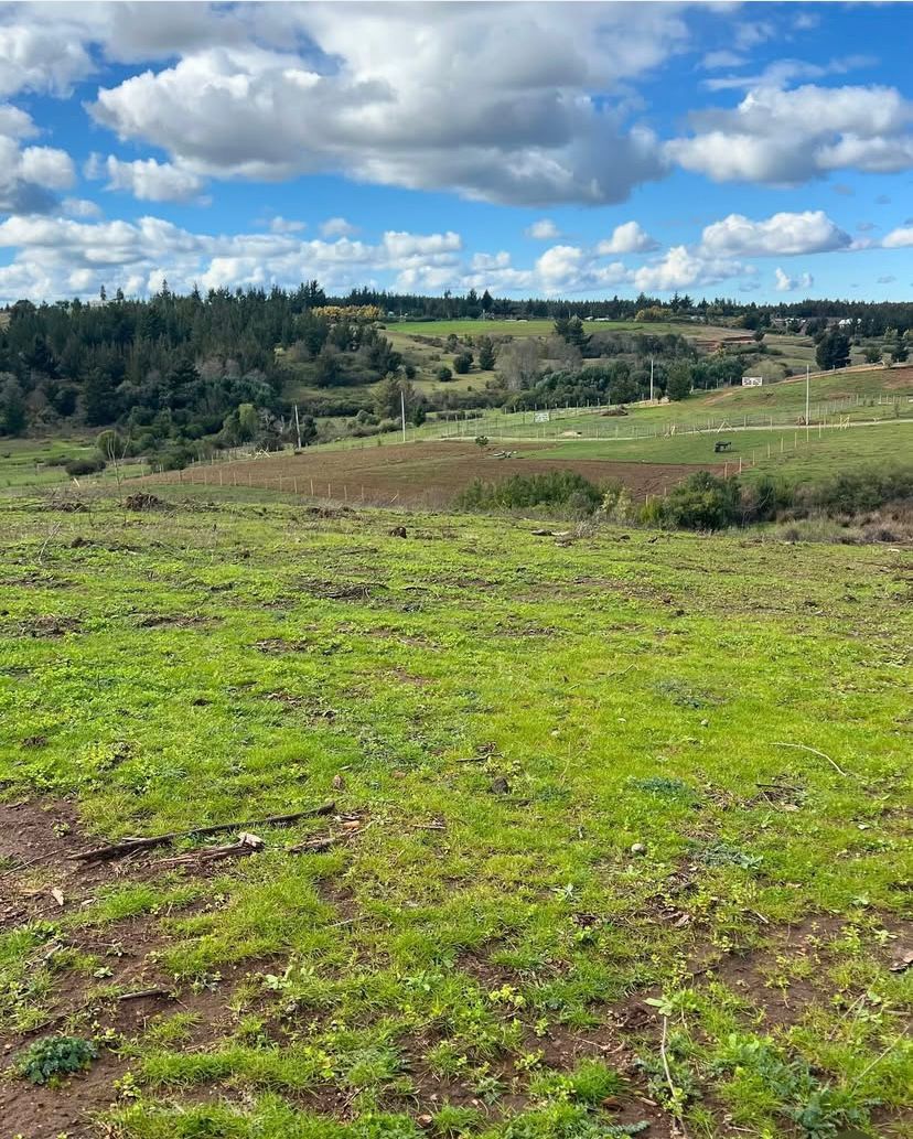 Parcelas de 5.000 m² en Florida – Región del Biobío