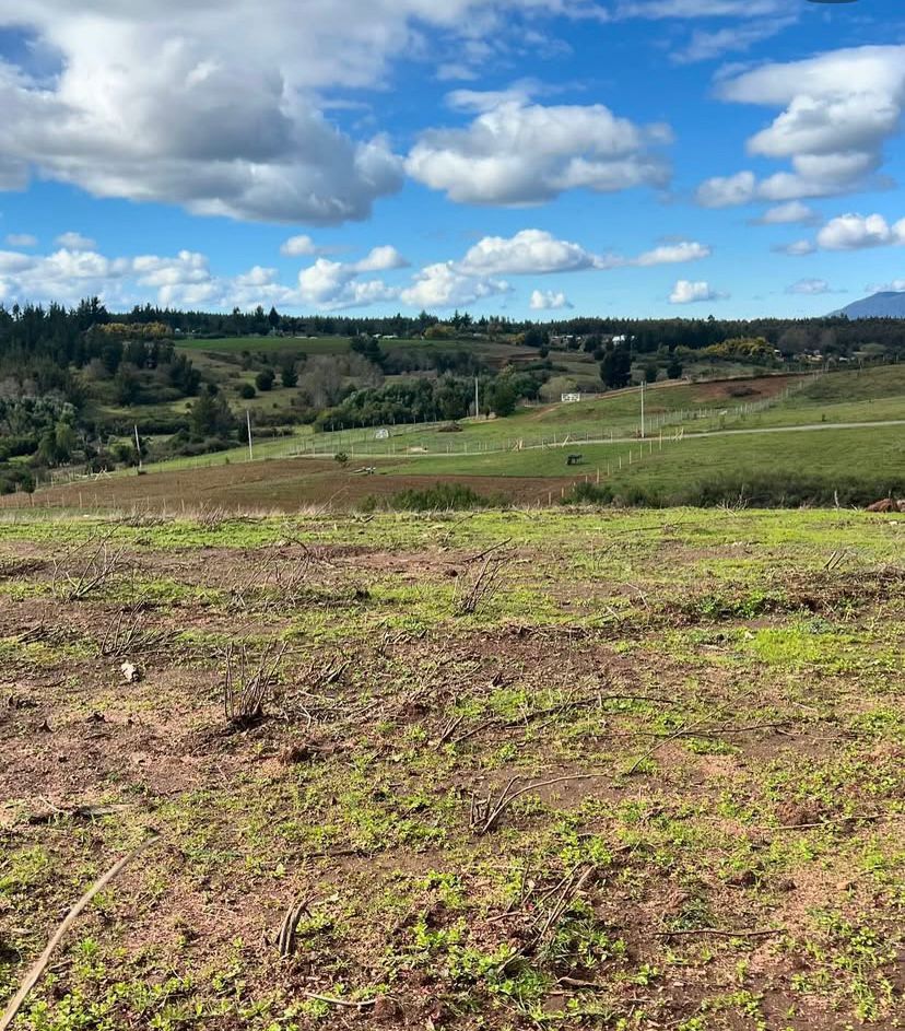 Parcelas de 5.000 m² en Florida – Región del Biobío